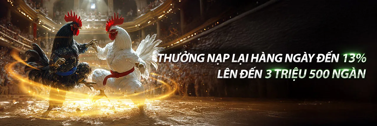 Đá Gà Trực Tiếp 4 5 2023 - Trải Nghiệm Đỉnh Cao